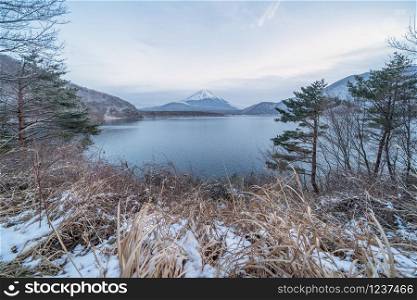 Lake Saiko, Fuji five lake.Mountain Fuji with snow in winter season near Fujikawaguchiko, Yamanashi, Japan. Nature landscape background.