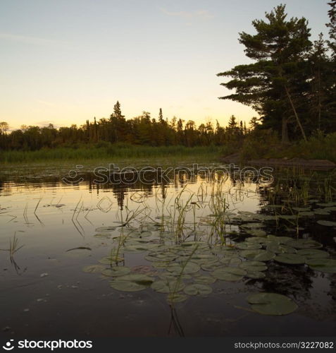 Lake Scene