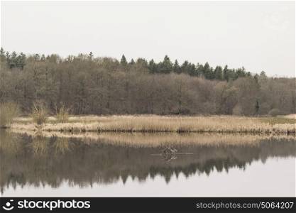 Lake scenery in the fall with reflections in the calm water and a forest in the background