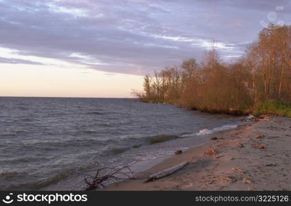 Lake Scenes