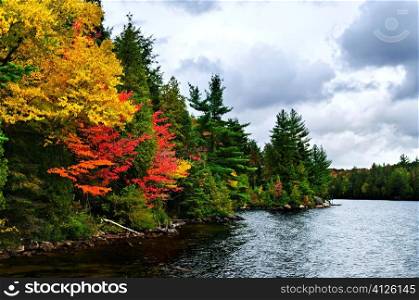 Lake shore of fall forest with colorful trees