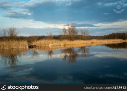 Lake shore with trees and reflections in the water, Stankow, Lubelskie, Poland