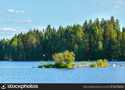 Lake summer view with forest on the edge ( Finland).