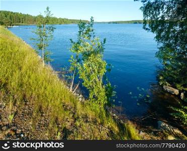Lake summer view with forest on the edge ( Finland).