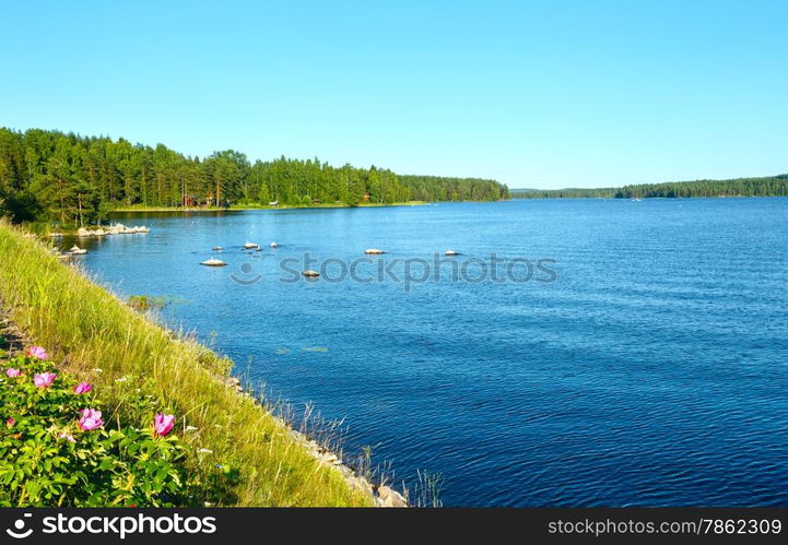 Lake summer view with forest on the edge ( Finland).