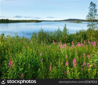 Lake summer view with pink flowers in front (Sweden).