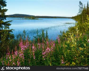 Lake summer view with pink flowers in front (Sweden).