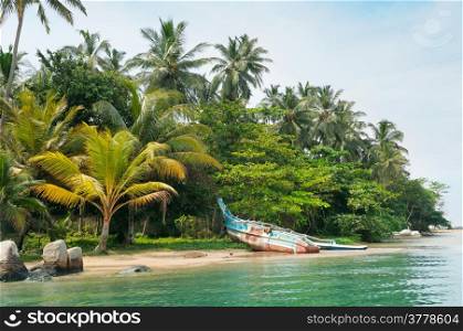 lake, tropical palms and the boat