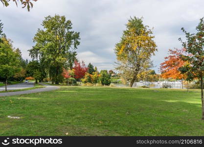 Lake Washington shoreline in autumn near Seattle.