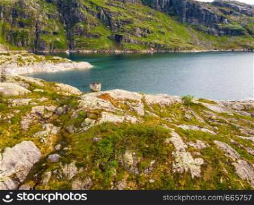 Lakes in stone rocky mountains. Norway landscape. Norwegian national tourist scenic route Ryfylke.. Lakes in mountains Norway