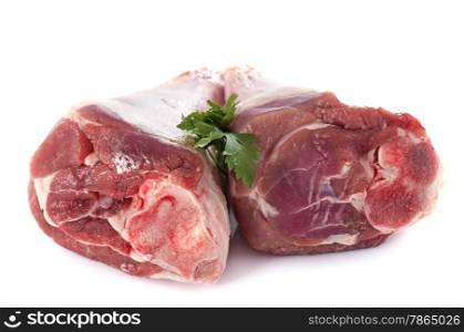 lamb knuckle in front of white background