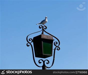 Lamp by side of Lake Garda with gull sitting on the top