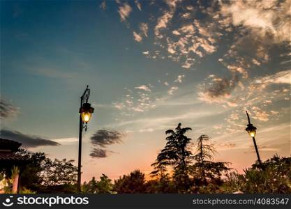 Lamp, Flowers, green weeds, leaves, plants and trees on colorful sunset on vineyards backgrounds on cultivated hills in Italian countryside the small village of Dozza near Bologna in Emilia Romagna