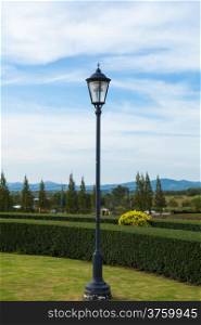 Lamp on the lawn In the garden with shrubs and lawns.