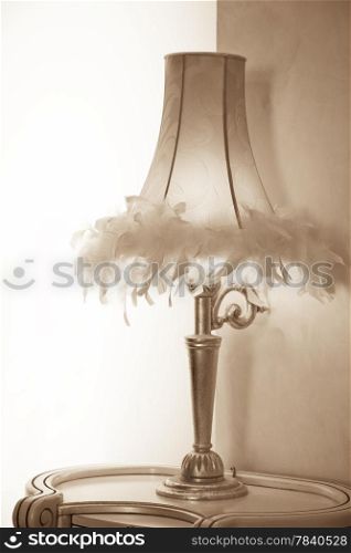 Lamp shade with feathers of a desk lamp