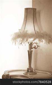 Lamp shade with feathers of a desk lamp