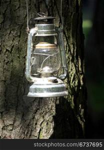 Lampe am Baum. Oil lamp hung on a tree