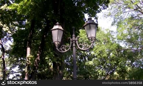 Lamppost on avenue in park.