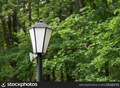 lamppost on the background of trees in the Park. lamppost in the Park