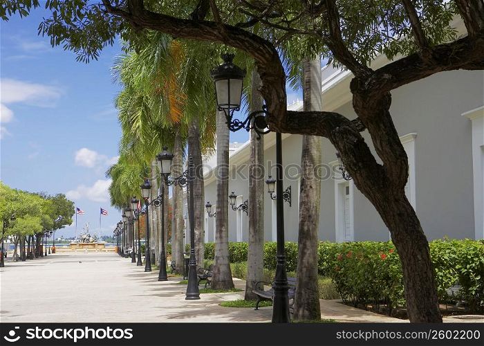 Lampposts and trees in front of a building, La Princesa, Old San Juan, San Juan, Puerto Rico