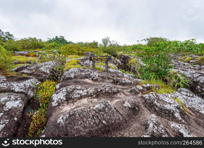 Lan Hin Teak Nameplate and large stone courtyard with strange stone shapes is a famous natural tourist attraction of Phu Hin Rong Kla National Park, Phitsanulok Province, Thailand. Lan Hin Teak Nameplate