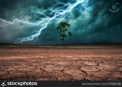 Land to the ground dry cracked and big tree. With lightning storm