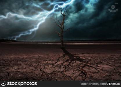 Land to the ground dry cracked and dry tree. With lightning storm