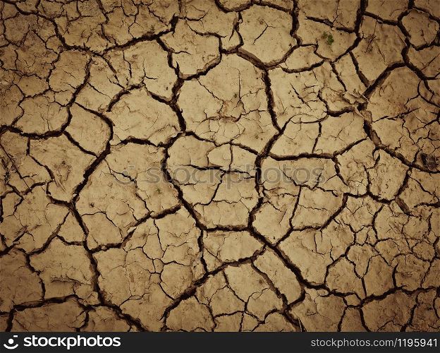 Land with dry and cracked ground. Global warming background