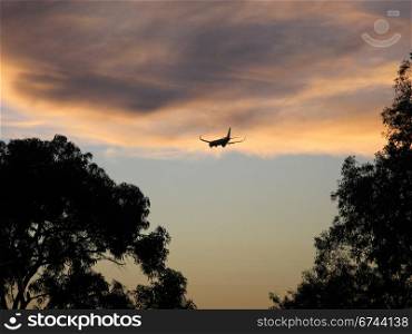 Landing plane. Landing airplane with cloudy sky and trees in foreground
