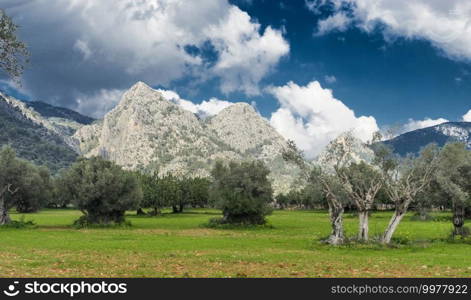 Lands of raixa, a property of public use in the mountains of tramuntana, Palma de mallorca