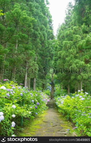 Landscape
