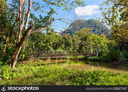 Landscape around Tham Pla (Fish Cave) in Tham Pla Pha Suea National Park, nothern Thailand