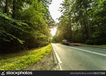 Landscape. Asphalt road through the summer green forest with sunlight rays