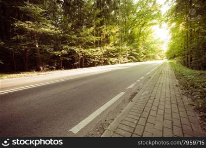 Landscape. Asphalt road through the summer green forest with sunlight rays
