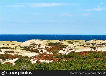Landscape at Cape Cod, Massachusetts, USA.