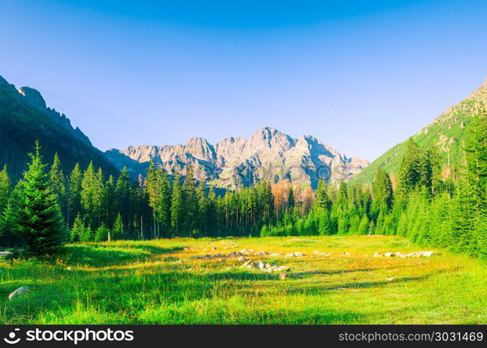 landscape at dawn view of the high Tatras in Poland