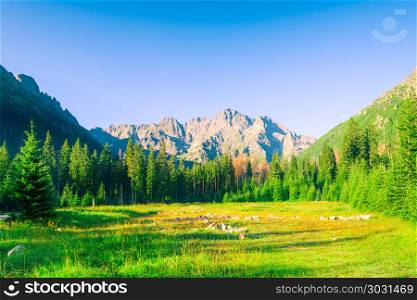 landscape at dawn view of the high Tatras in Poland