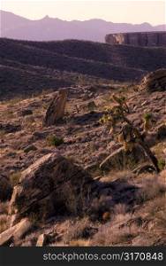 Landscape at Lake Mead National Recreation Area
