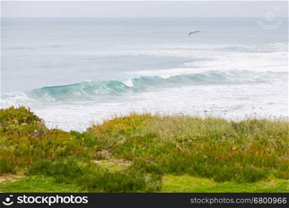 landscape atlantic coastline with stones, plants and surfs in cloudy day