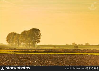 Landscape. Autumn farm field at the sunset