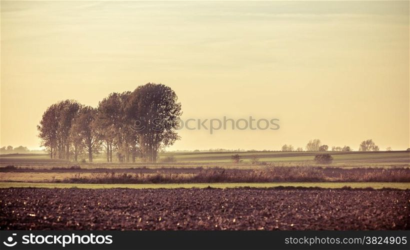 Landscape. Autumn farm field at the sunset. Filtered photo