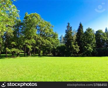 landscape bathed in sunlight lawn and blue sky