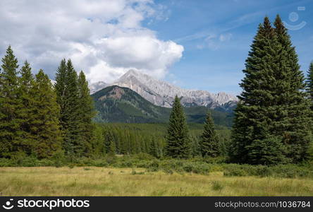 Landscape close to Bow Valley Parkway, Banff National Park, Alberta, Canada