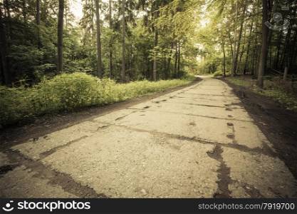 Landscape. Country old concrete road in the forest.