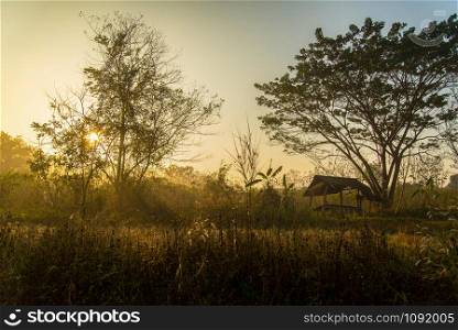 Landscape countryside shed on grass field sunrise shine tree rural agriculture farm