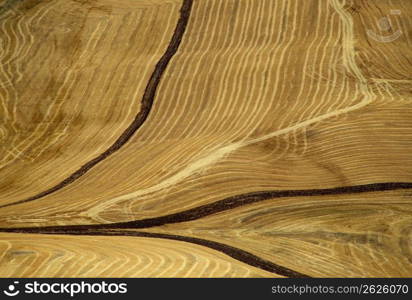 Landscape, elevated view