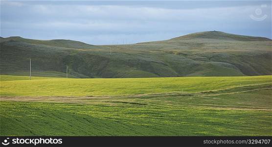 Landscape, farmland pasture below grassy mountains
