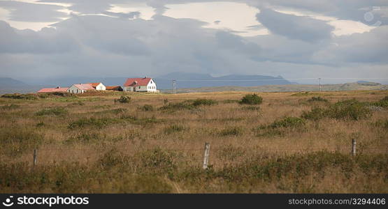 Landscape, farmstead in fenced pasture