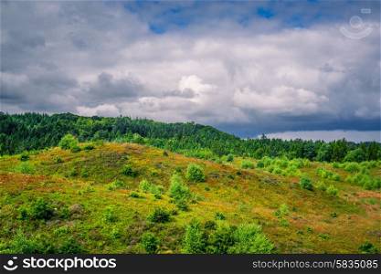 Landscape from Denmark with cloudy weather and green nature