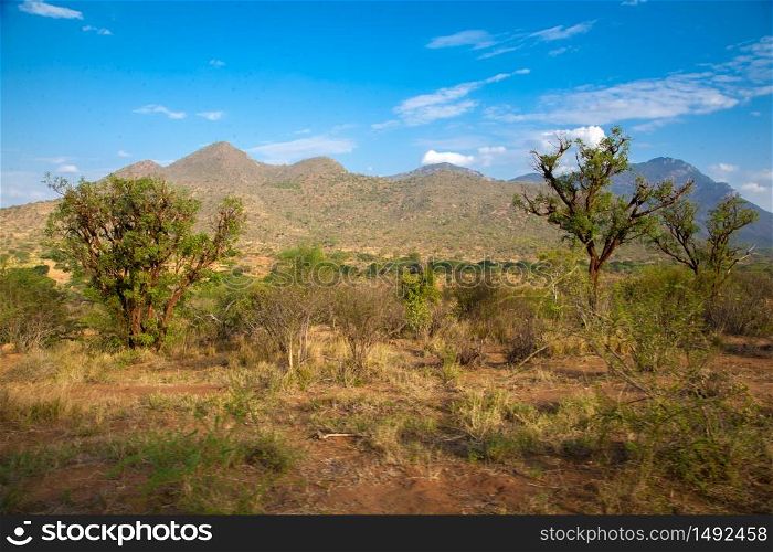 Landscape from Kenya, hills and trees with a blue sky